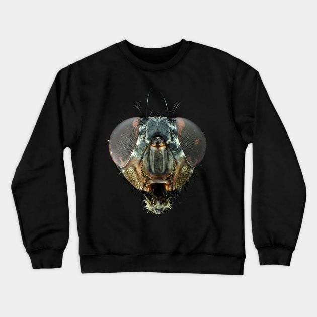 Extreme macro photo (under the microscope) of a fly head Crewneck Sweatshirt by SDym Photography